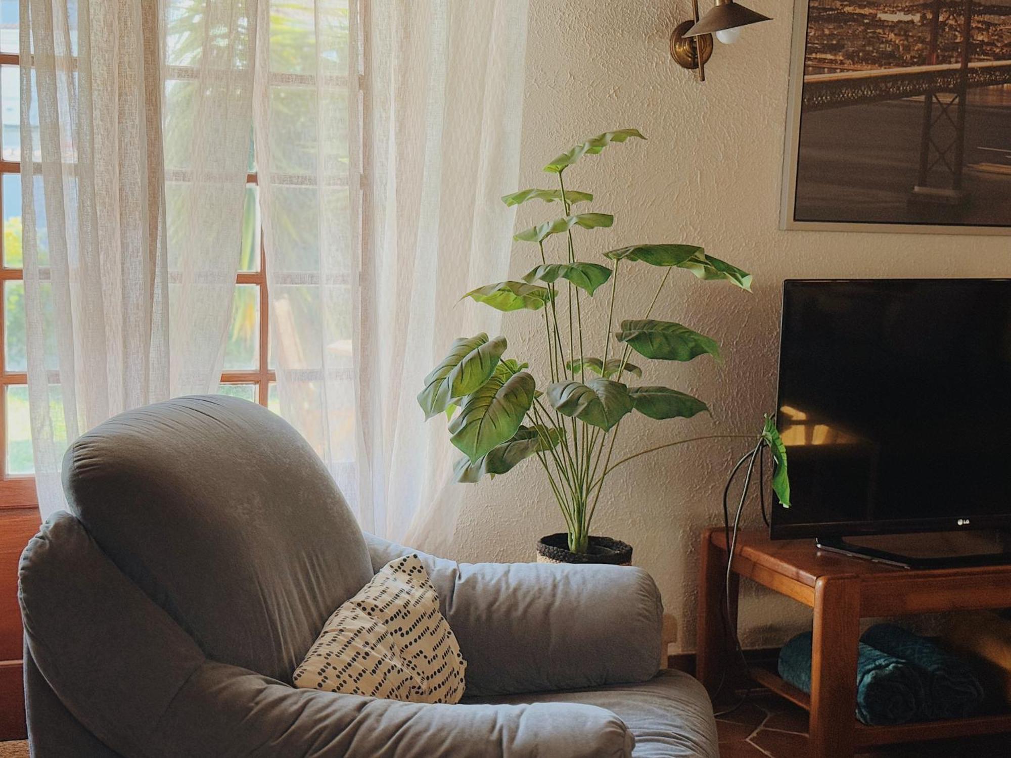 Coastal Garden Paradise Retreat- 6 Min From The Beach Charneca  Exterior foto